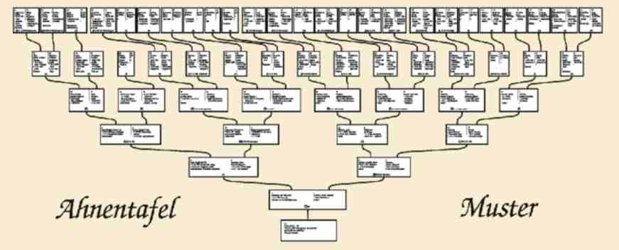 Ahnentafel - Muster